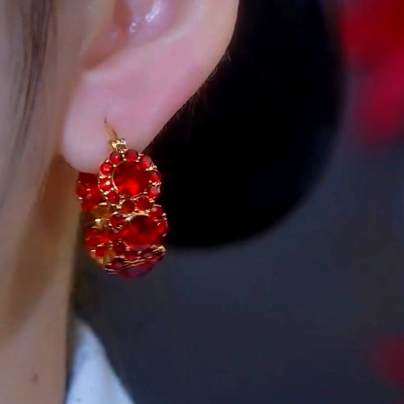 14K Gold-Plated Zircon Hoop Earrings