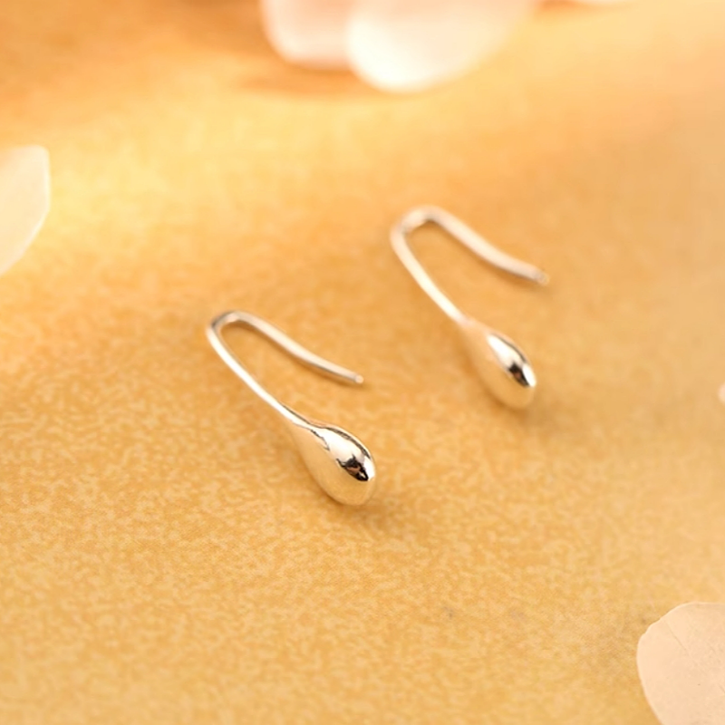 Sterling Silver Water Drop Ear Hook Earrings