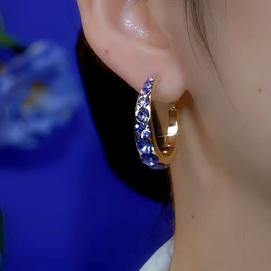 14K Gold-plated Purple Zircon Hoop Earrings