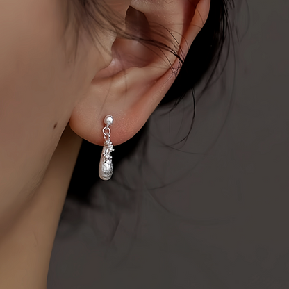 Sterling Silver Zircon Water Drop Earrings